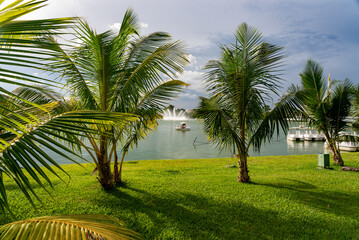 Obraz premium Recreation Parks and Tropical Gardens