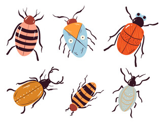 Beetle insect cute bug ladybug isolated set concept. Vector design graphic illustration