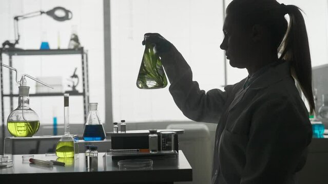 A plant in a flask for an experiment close up. The woman scientist takes the flask, examines the plant. Dark silhouette of a scientist with a flask in a laboratory. HDR BT2020 HLG Material.