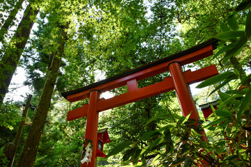 京都 貴船神社中宮結社の鳥居