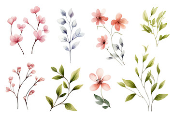 Watercolor of Tropical spring floral green leaves and flowers elements isolated on transparent png background, bouquets greeting or wedding card decoration, with Generative Ai.