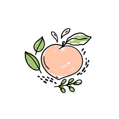 Vector hand drawn fruit with leaves and drops on a white background. Peach fruit hand drawn icon. Naive drawings composition.