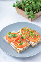 Sandwich with cheese, tomato and sunflower and alfalfa microgreens