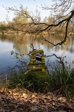 Mossy Dock in T&ouml;plitz, Brandenburg, Germany