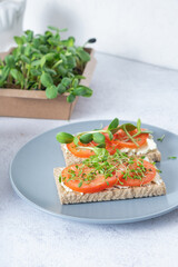 Sandwich with cheese, tomato and sunflower and alfalfa microgreens in plate. Healthy food.