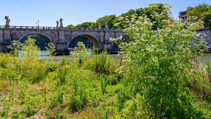 Fototapeta premium Le pont Sant'Angelo à rome