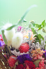 ミント色の背景のカラフルドライフラワー　Dried flower