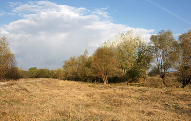 
Located in Bolu, Turkey, Cogullu Village is an old Turkish village. Natural life continues. There is a historical bridge in the village.
