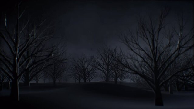 Tree forest background with mysterious fog loop