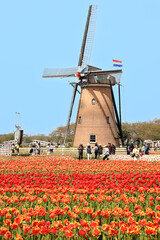 佐倉ふるさと公園