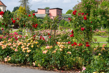Rosengarten Kurort Bad Eilsen
selektive Schärfe