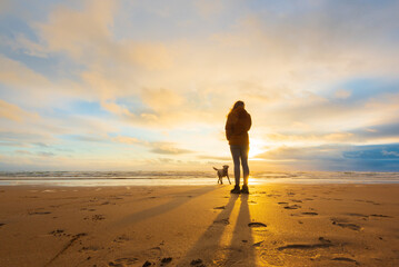 Women on a sandy beach at sunset with blue sky and purebred labrador retriever 
