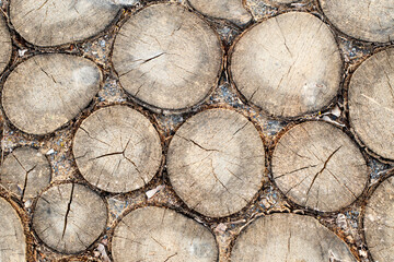 Background of wood slices. Wallpaper wood log. Garden decoration with a log path. 