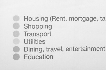 A close-up view of monthly expenses displayed on paper.