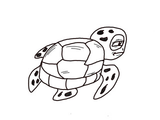 turtle vector illustration