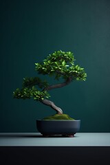 Japanese bonsai for my hobby on a green background