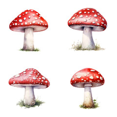 Hand painted watercolor clipart of red mushroom set