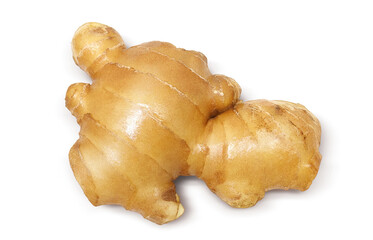 生姜のイラスト リアル セット