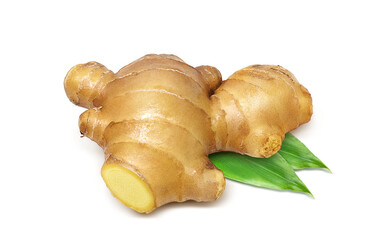 生姜のイラスト リアル セット