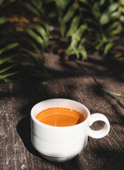 Espresso coffee in a white ceramic mug and fern leaves in the back