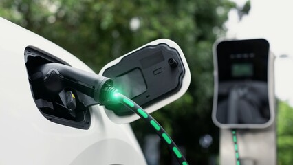 Electric car plug into EV charger cable from charging station display smart digital battery status hologram in eco green park and foliage background. Energy sustainability technological advance.Peruse