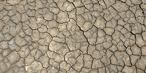 dry soil as it appears in an arid climate