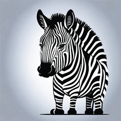 cute zebra cartoon vector
