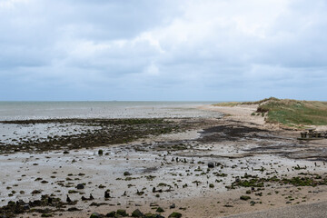 Réserve naturelle, Polder, Mer des Wadden, île de la Frise, Ile Texel, Pays Bas