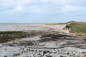 Réserve naturelle, Polder, Mer des Wadden, île de la Frise, Ile Texel, Pays Bas