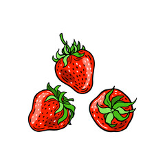 Red Strawberry. Three color berries. Hand-drawn flat image. Vector illustration on a white background.