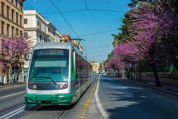 Naklejka premium Tramway à Rome