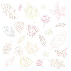 A pattern set of different kinds of autumn leaves in red, yellow, brown, orange, pink, green colors in line art style on white background for wallpapers, webs, cards, packaging
