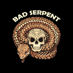 A short description of what the asset represents