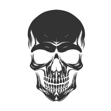 Monochrome skull icon. Vector illustration.