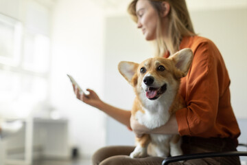 Side view of female owner of pembroke welsh corgi dog using cellphone while sitting in the hall of...