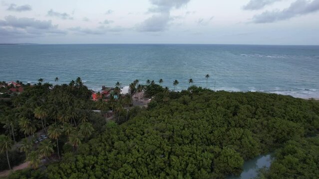 porto de galinhas mangrove