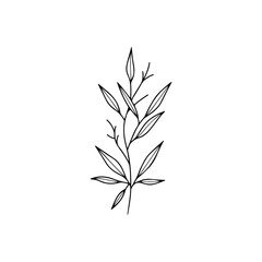 vector leaf illustration line concept