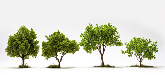 Bright green trees against a plain white background 