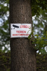 Oznaczenie , niebezpieczeństwo , drzewo ,monitoring