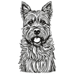 Border Terrier dog pencil hand drawing vector, outline illustration pet face logo black and white realistic breed pet