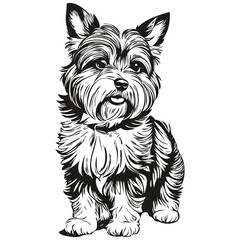 Dandie Dinmont Terriers dog pet sketch illustration, black and white engraving vector realistic breed pet