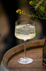 Refreshing summer cocktail.