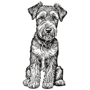 Lakeland Terrier Dog Silhouette Pet Character, Clip Art Vector Pets Drawing Black And White Realistic Breed Pet