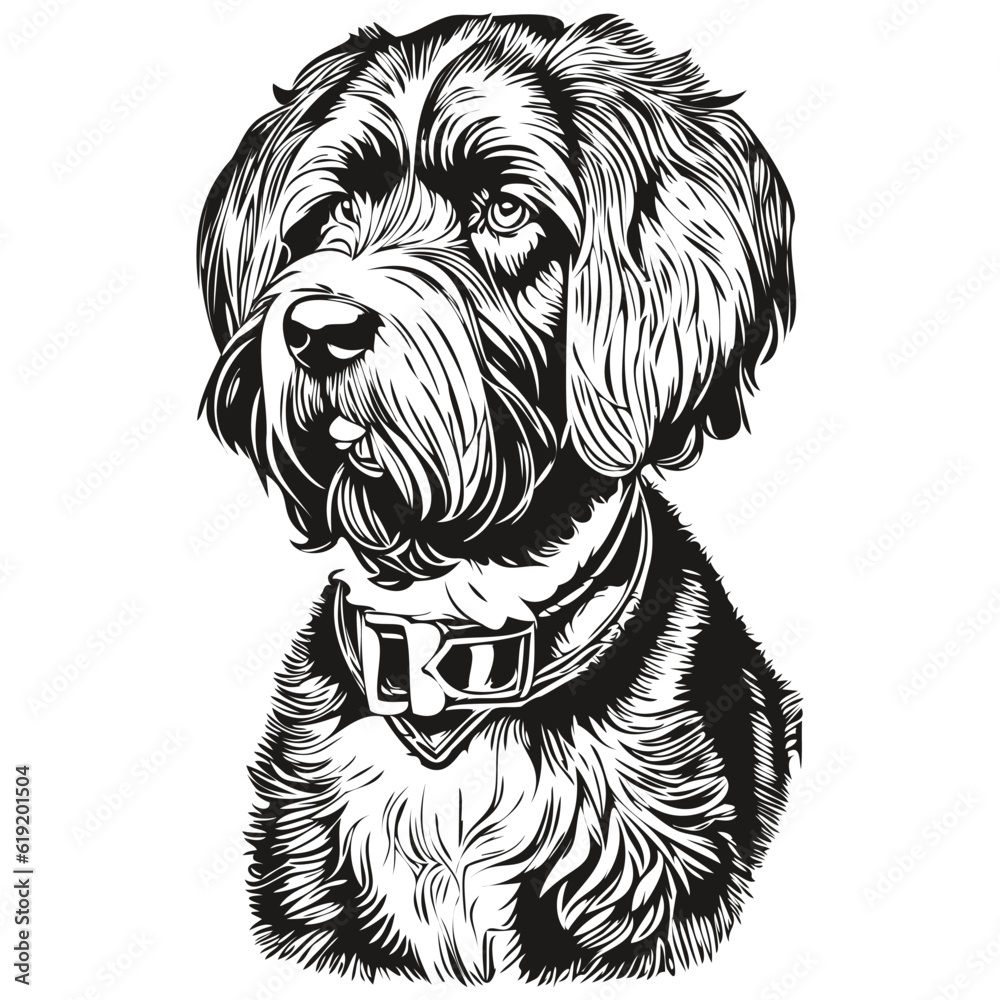 Poster Portuguese Water dog portrait in vector, animal hand drawing for tattoo or tshirt print illustration sketch drawing