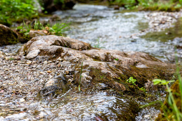 hill stream. A stream in the mountains flows over the rocks