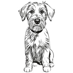 Sealyham Terrier dog breed line drawing, clip art animal hand drawing vector black and white realistic breed pet