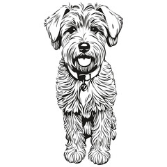 Soft Coated Wheaten Terrier dog logo vector black and white, vintage cute dog head engraved realistic breed pet - obrazy, fototapety, plakaty