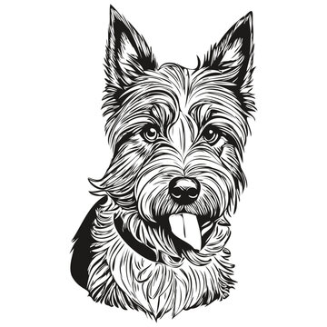 recommend clip art: Scottish Terrier dog pencil hand drawing vector, outline illustration pet face logo black and white realistic breed pet