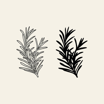 rosemary sprigs black and white minimalist clip art preview