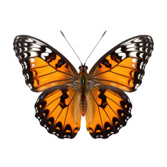 Butterfly isolated on transparent background. Generative ai